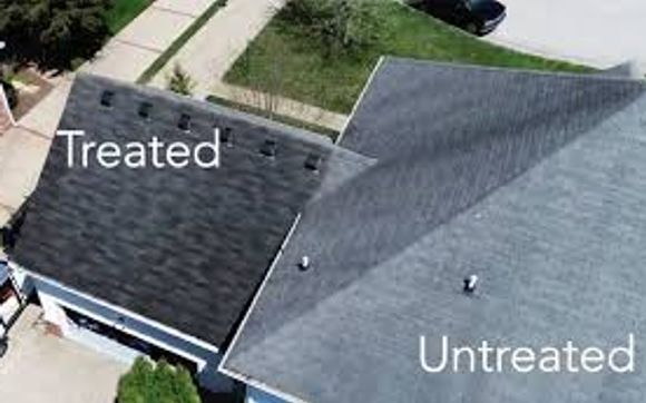 Roof Rejuvenation by Roof Maxx