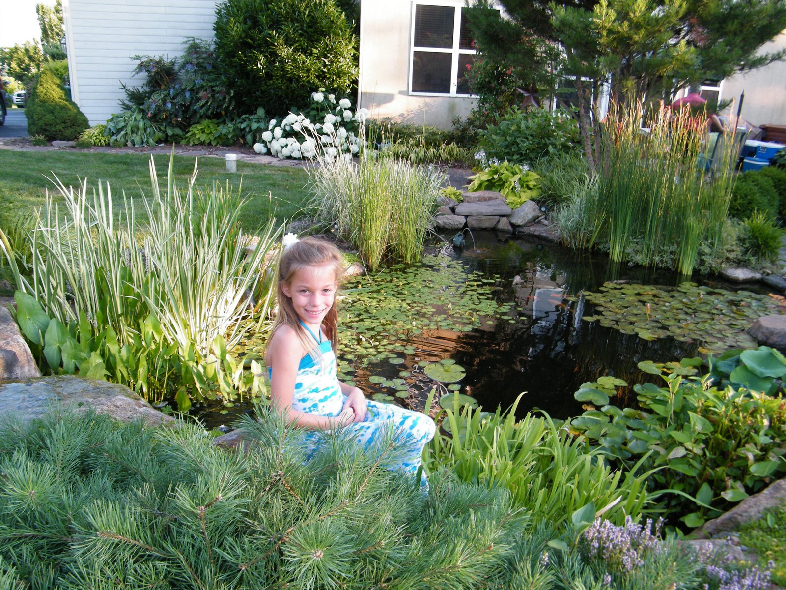 Water Gardens & Ponds